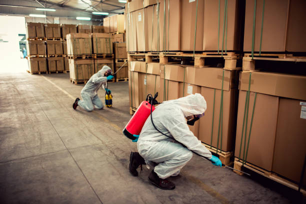 Best Exterminator Services  in Chesterton, IN