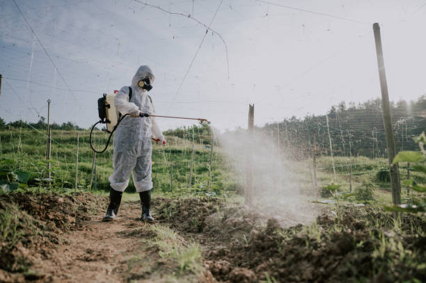 Best Affordable Pest Control Services  in Chesterton, IN
