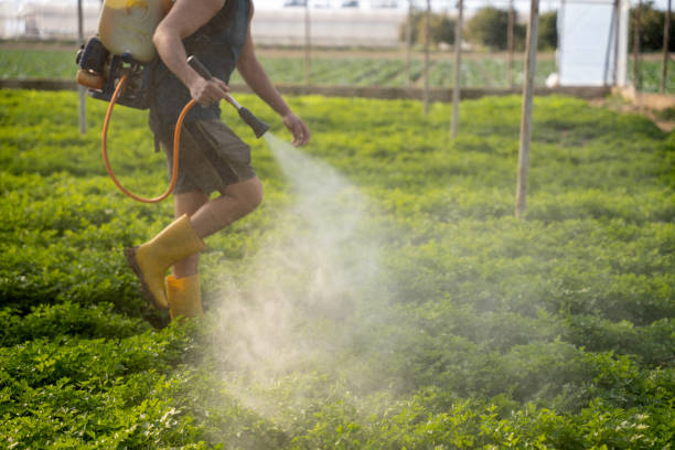 Best Wasp Removal Services  in Chesterton, IN
